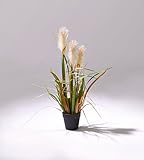 萩原 アーティフィシャルフラワー リードグラス SS [高さ:約53cm]