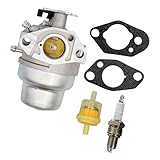 Fenteer キャブレター　燃料フィルター　ガスケット　ホンダ GCV160 HRB216 HRS216 HRR216 HRT216 HRZ216対応