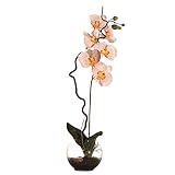 Vickerman AZF11122 Orchid in Soil Artificial Plant, 24-Inch [並行輸入品]