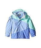 (ザノースフェイス) THE NORTH FACE キッズコート・ジャケット・アウター Mountain View TriclimateR Jacket (Toddler) Ice Green 4T 