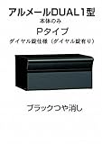 四国化成 郵便ポスト 埋込 アルメールDUAL1型Pタイプ ブラックつや消し 本体 ダイヤル錠