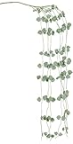 ポピー 観葉植物の造花 ハートカヅラ グリーンホワイト FG-4071G/W
