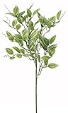 asca 造花 ワンダリングジュー クリームグリーン 全長43cm・葉径4~7cm A-42458-053A