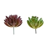 Fenteer 楽しい　人工多肉植物　ホームインテリア花　人工花