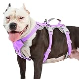 Huntboo 犬 ハーネス 小型犬 中型犬 大型犬 犬用ハーネス 犬用胴輪 抜けない 脱出防止 ハンドル サイズ調整可能 夜間反射 簡単着脱 ソフト 防水 散歩 トレーニング（XL、ラベンダーパープル）