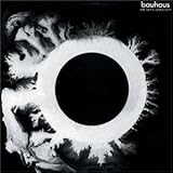 �X�J�C�Y�E�S�[���E�A�E�g