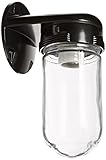 RAB Lighting VBR100B Vaporproof Glass Globe Incandescent Fixtures with Wall Mount Bracket, A19 Type,
