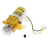 B Blesiya ダイヤフラム　水圧ポンプ　スプレーポンプ　DC24V 　75 PSI