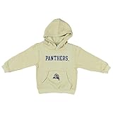 Pittsburgh Panthers幼児用フード付きスウェットシャツゴールド