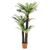 不二貿易 観葉植物 シダ 高さ147cm グリーン 52678