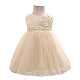 Candykidsベビードレス ベビーデイジー 結婚式 セレモニードレス フォーマルドレス 子供服 女の子 　赤ちゃん お宮参り ベビードレス フォーマルドレス (90CM)