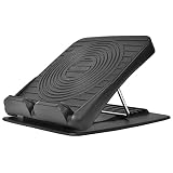 ライシン ソフト ストレッチボード 7段階 コンパクト 軽量 耐荷重 150kg ブラック
