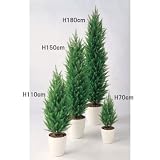 エフプランター 人工観葉植物-ゴールドクレストGREEN-70-6号鉢-RP185