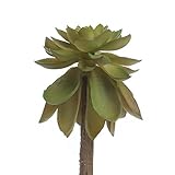 工場直接クラフト®人工ビニールSucculent Pick forホーム装飾、Gifting Decorating