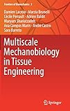 Multiscale Mechanobiology in Tissue Engineering (Frontiers of Biomechanics)