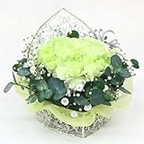 アレンジメント・ファンシー グリーン