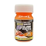 エルティーアイ (LTI) 水性蓄光ペイント GLOW PAINT α-Vega 蓄光オレンジ LAGP-OR20 (容量:20g) 水性塗料 水に強い 塗りやすい 発光 蓄光 長期保存可能 釣具 プラモデル アート 安全対策 DIY