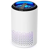 空気清浄機 アロマ対応 小型 微細粒子99.99%除去可 3段階切替 HEPAフィルター内蔵 タイマー付き PM2.5 軽量 脱臭 花粉対策