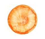 �F�� �x�X�g�E�I�u�E�t�B�b�V���}���Y