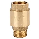 BQLZR " BSPP 1 / 2 "インチメスオスねじインラインチェックバルブスプリング垂直"