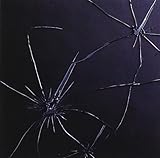 �Ö�(��������B)