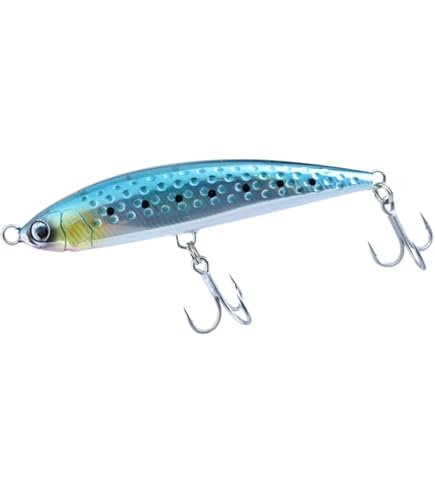 Amazon.co.jp: ダイワ(DAIWA) ルアー ソルティガ ラフライド 160F