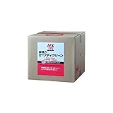 イチネンケミカル:超強力セーフティクリーン 20kg NX175 00175