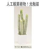 人工観葉植物 光触媒加工観葉植物 造花　サボテン （高さ約53ｃｍ） ＨＧｈｇパロディア55ｃｍ