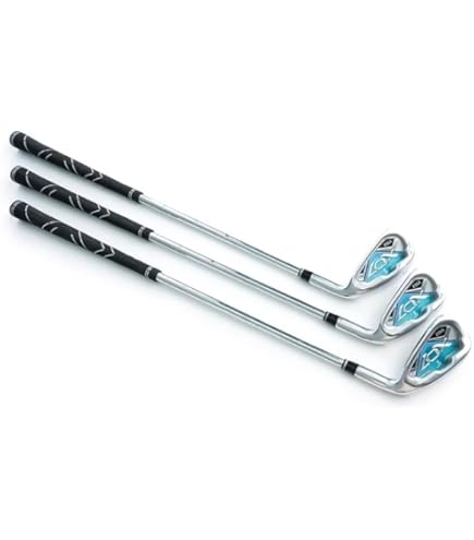 Amazon | ロジャーキング ヘビー ショート アイアン 室内でも振れます