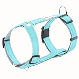 [LaLUCA GOODS] 犬 ハーネス 小型犬 中型犬 大型犬 抜けない 脱げない 抜けにくい エスケープガード 柴犬 おしゃれ かわいい 簡単 安心