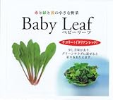 【種子】ベビーリーフ・チコリ（イタリアンレッド） 1dl