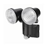 ヤザワ 1W2LEDソーラーライト SL12LEDS