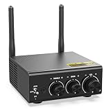 1Mii LDAC Bluetooth アンプ パワーアンプ デジタルアンプ オーディオ 小型 ミニ ハイレゾ 100w × 2 大出力 対応、LDAC/aptX HD/aptX LL 低遅延/aptX/SBC/ブルートゥース 5.3 に対応、RCA アナログ入力端子、ギター/ps4/pc/車/スピーカー/ステレオシステム用 B08Pro