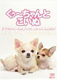 �����`�����Ƃ����� �`�����́u�����`�����t�@�~���[�v�I�t�B�V����DVD!!