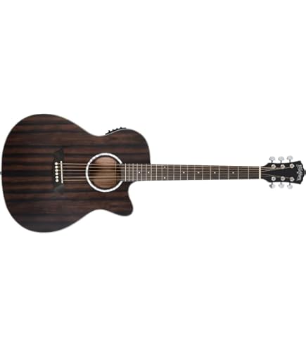 Amazon | WASHBURN (ワッシュバーン) アコースティックギター Deep
