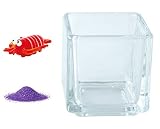 花市場直送便 ミニチュアガラス イセエビ レッド & カラーサンド パープル & 植え込み用グラス ニューブロックS