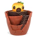 SeleCreate 植木 鉢 プランター フラワー ポット ガーデニング 多肉植物 寄せ植え 水抜き穴 付き (かぼちゃハウス)