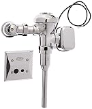 Zurn ZEMS6003AV-EWS .5 Gallon Motorized Urinal Valve [並行輸入品]