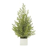 グリーン／観葉植物 ミニゴールドクレスト ゴールドクレスト mini gold crest 室内 イミテーショングリーン 人工 造花 植物 ミニ 光触媒 おしゃれ グリーン 癒し ギフト