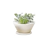 Paseo Ceramic Planter w/plate JX-01/12