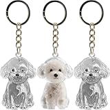 犬の毛 キーホルダー 3個セット 透明 遺毛入れ ペットメモリアルケース 犬の毛収納 毛を保管する 抜け毛収納 携帯 犬 メモリアルグッズ かわいい