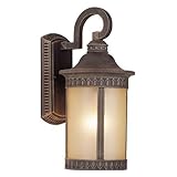 Forte Lighting 1770-01-28 Transitional 1 Light Exterior Wall Lantern, Painted Rust Finish with Umber