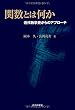 関数とは何か: 近代数学史からのアプローチ