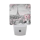naanle Rose Flower Leavesパリエッフェル塔油絵Summer City LandscapeグレーとピンクオートセンサーLED Dusk to Dawnナイトライトプラグinインド