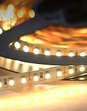 wavelux 24 V Fine 3528 LEDストリップライト5 M – ウォームホワイト – 高CRI