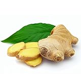 Loss Promotion100 Pcs/Pack Ginger Seeds Balcony Vegetables Potted Bonsai Plant Seeds Four Seasons Zi