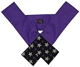 バディバディ Buddy Buddy らくらくキャリー 星柄プリント パープル L P0260