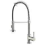 VIGO Edison Single Handle Pull-Down Spray Kitchen Faucet, Stainless Steel [並行輸入品]
