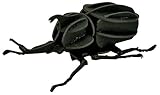 ペーパーパズル 小 カブトムシ 黒 専用台座付 PP202-01BK