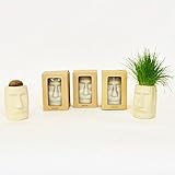 MOAI（モアイ）栽培セット 直径約6㎝、高さ約9cm [IP-MOAO-0012] インテリアプランツ 観葉植物 ギフト・贈り物にピッタリ！